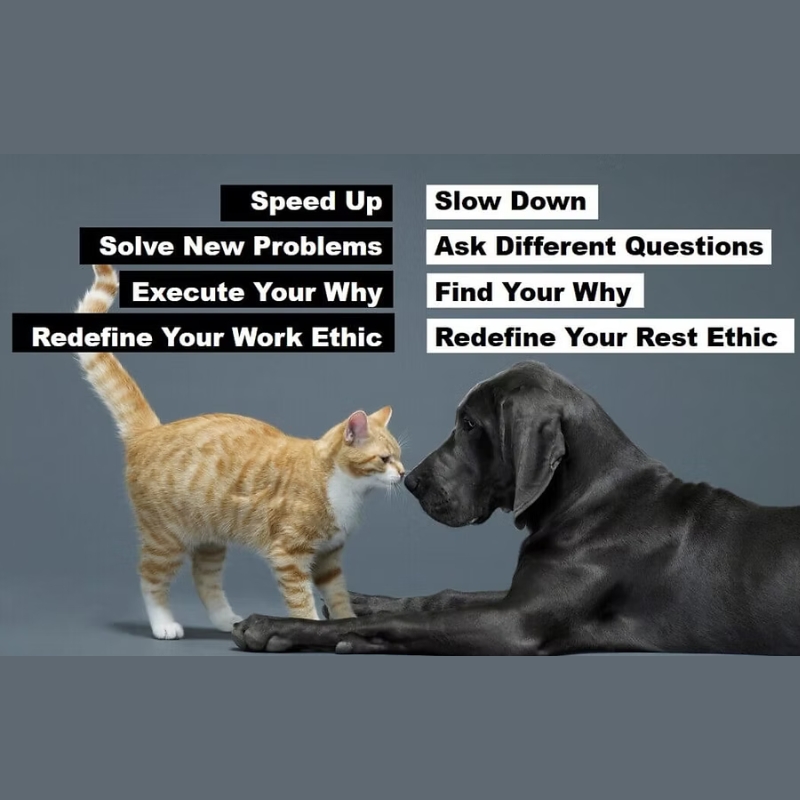 Untitled design (26)