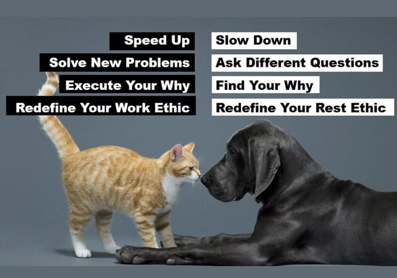 Untitled design (26)